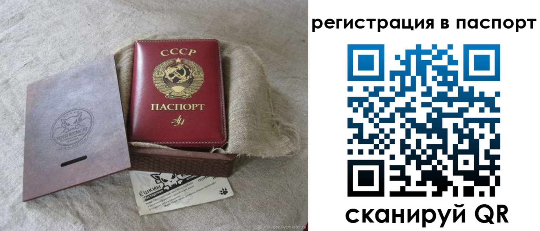 где прописаться в Малой Вишере